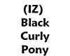 (IZ) Black Curly Pony