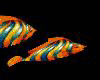 TROPICAL FISH v3