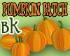 BK Pumpkin Patch