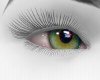 𝕴 Jade Moon Eyes