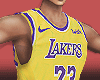 Lakers James Lebron 23.