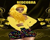 RC FLUO YELLOW OUTFIT