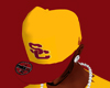 USC Fitted