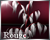 (K) Soie-Rouge*DecoPlant