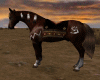 Native Lying Horse 2