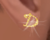 EM. Letter D earr. Gold