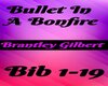 Bullet In A Bonfire