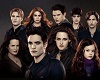 Twilight's Cullen Family