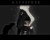 Paillettes