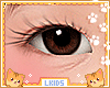 ☀ KIDS EYES BROWN