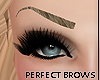 Perfect Eyebrows} Ash