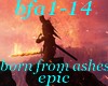 (shan)bfa1-14 epic