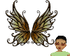 brown wings translator