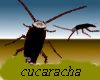 Cucarachanegra animada