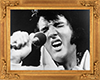 Elvis In Frame