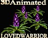 5 Animated Bromeliads 15