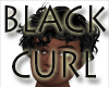 Black Curl