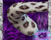 Real Snow Leopard Tail