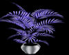 shimmering purple plant