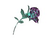 Purple Teal Tin Rose