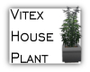 [S9] Vitex House Plant 3