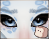 ⊹ Dream Brows V2