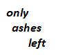 only ashes left