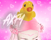 Ducky aö