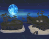 Lost Island