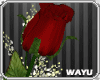 [wayu]Valentine Red ROSE