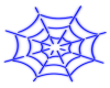 Blue Neon Spider Web