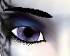 Purple Rain eyes