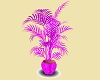 Plant in Purple