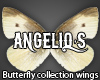 Butterfly wings #14