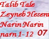 TalibT. Zeyneb H. Narin