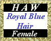 Royal Blue Hair - F