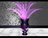 Purple  Plant