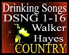 *dsng - Drinking Songs