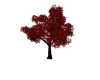 [Mae] Crimson Tree v2