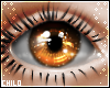 :0: Husk Eyes M/F v2