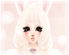 Sweet Bunny