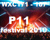 festival (P11)