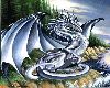 Silver Sea Dragon