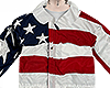 THE FLAG