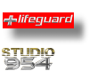 S954 Lifeguard Emblem