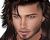Male Head H1B1 med