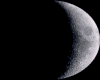Lunar Silhouette Room