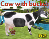 Cow with bucket
