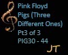 Pigs Part 3 of 3