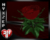 ! DR Red Rose Couch